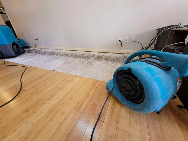 Professional Basement Flood Cleanup technician working in Arroyo Grande, CA
